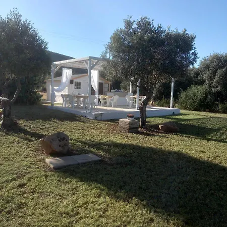 B&B Gli Ulivi-2